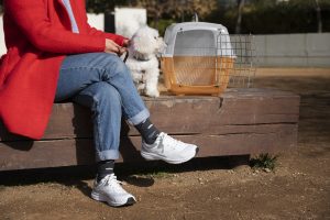 Best Shoes For Vet Techs